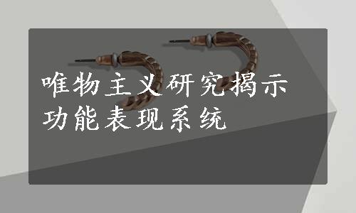 唯物主义研究揭示功能表现系统