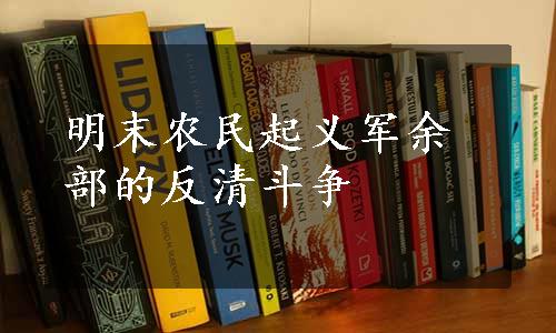 明末农民起义军余部的反清斗争