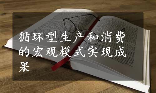 循环型生产和消费的宏观模式实现成果