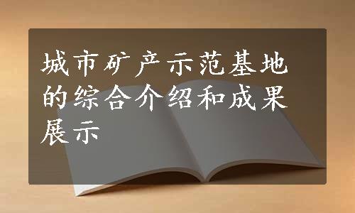 城市矿产示范基地的综合介绍和成果展示