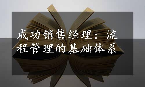 成功销售经理：流程管理的基础体系