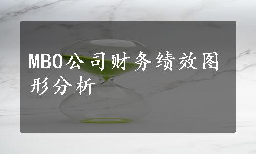 MBO公司财务绩效图形分析