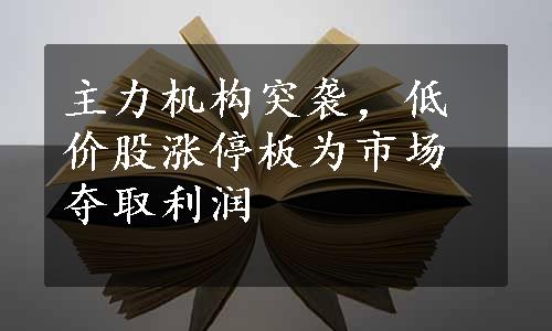 主力机构突袭，低价股涨停板为市场夺取利润