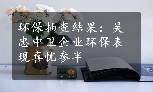 环保抽查结果：吴忠中卫企业环保表现喜忧参半