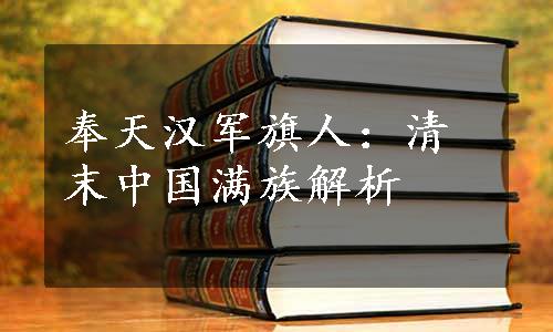 奉天汉军旗人：清末中国满族解析