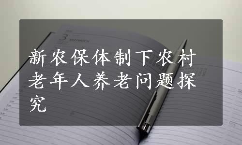 新农保体制下农村老年人养老问题探究