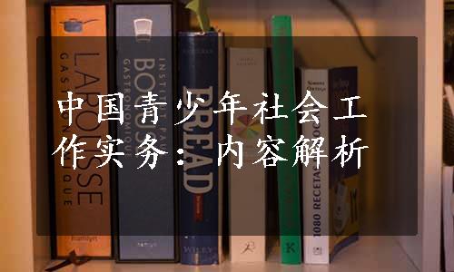 中国青少年社会工作实务：内容解析