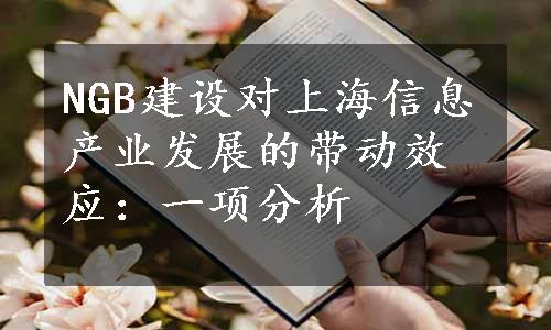 NGB建设对上海信息产业发展的带动效应：一项分析