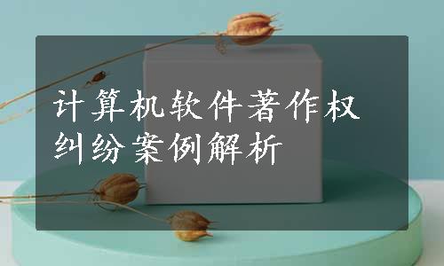 计算机软件著作权纠纷案例解析