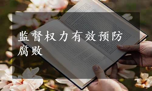 监督权力有效预防腐败