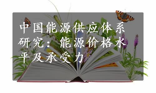 中国能源供应体系研究：能源价格水平及承受力