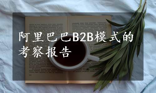 阿里巴巴B2B模式的考察报告