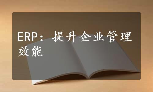 ERP：提升企业管理效能