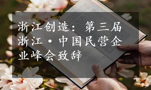 浙江创造：第三届浙江·中国民营企业峰会致辞