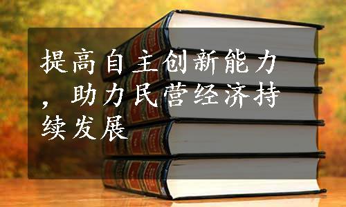 提高自主创新能力，助力民营经济持续发展