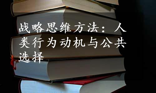 战略思维方法：人类行为动机与公共选择