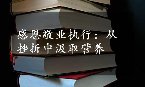 感恩敬业执行：从挫折中汲取营养