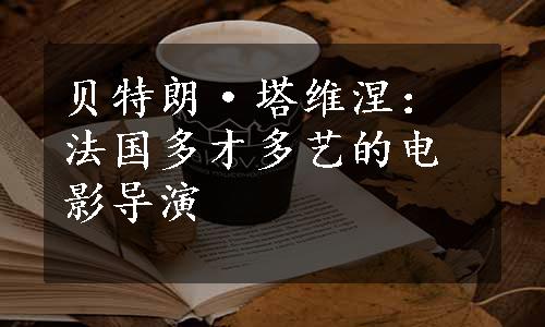 贝特朗·塔维涅：法国多才多艺的电影导演