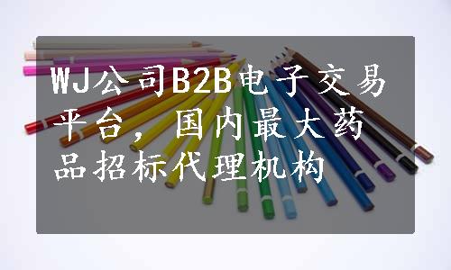 WJ公司B2B电子交易平台，国内最大药品招标代理机构