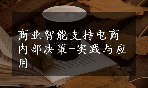 商业智能支持电商内部决策-实践与应用