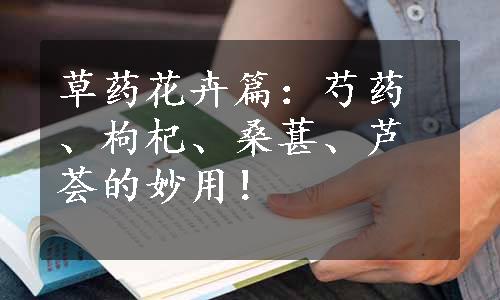 草药花卉篇：芍药、枸杞、桑葚、芦荟的妙用！