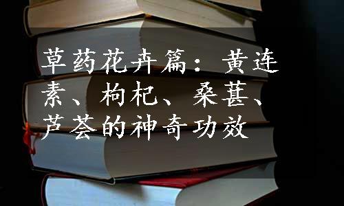 草药花卉篇：黄连素、枸杞、桑葚、芦荟的神奇功效