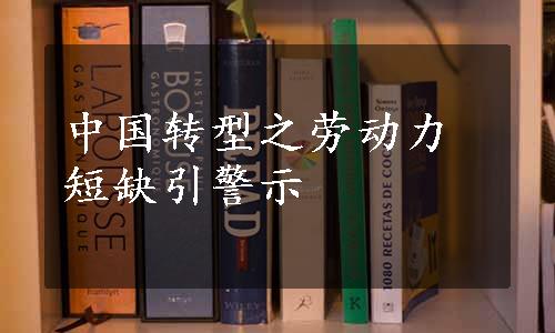 中国转型之劳动力短缺引警示