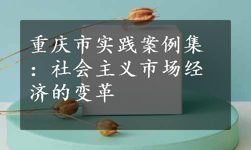 重庆市实践案例集：社会主义市场经济的变革