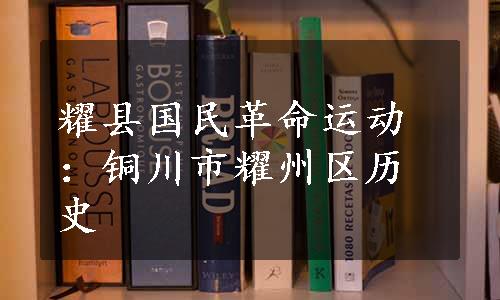 耀县国民革命运动：铜川市耀州区历史