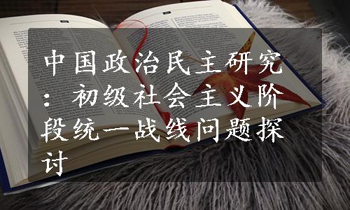 中国政治民主研究：初级社会主义阶段统一战线问题探讨