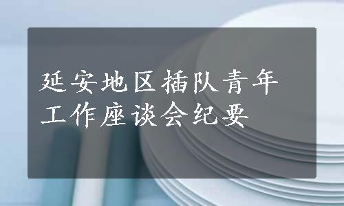 延安地区插队青年工作座谈会纪要