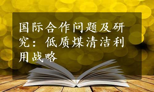 国际合作问题及研究：低质煤清洁利用战略