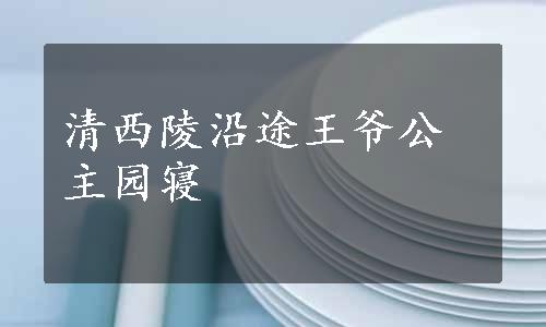 清西陵沿途王爷公主园寝