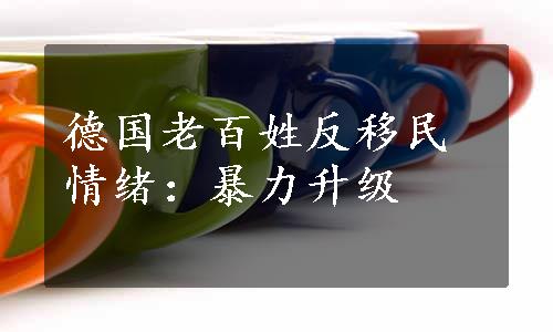 德国老百姓反移民情绪：暴力升级