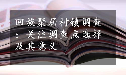 回族聚居村镇调查：关注调查点选择及其意义