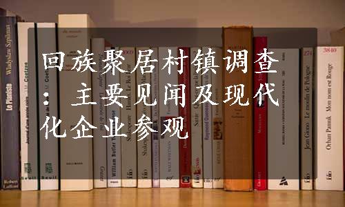 回族聚居村镇调查：主要见闻及现代化企业参观