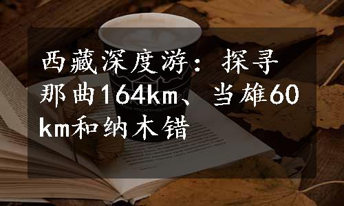 西藏深度游：探寻那曲164km、当雄60km和纳木错