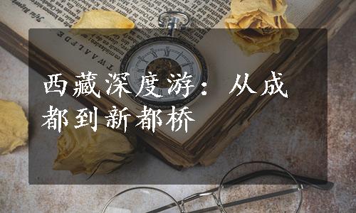 西藏深度游：从成都到新都桥