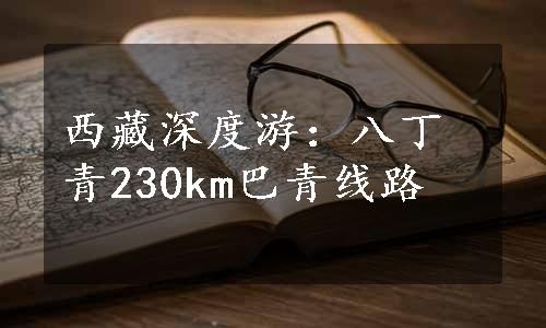 西藏深度游：八丁青230km巴青线路