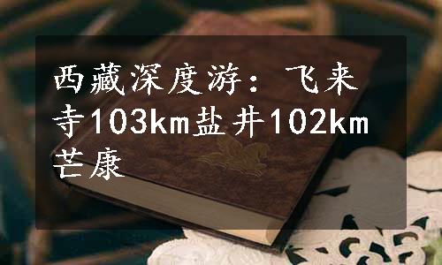 西藏深度游：飞来寺103km盐井102km芒康