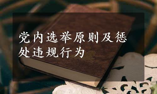 党内选举原则及惩处违规行为