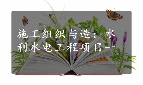 施工组织与造：水利水电工程项目一