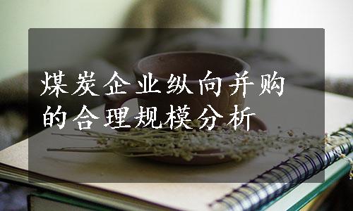 煤炭企业纵向并购的合理规模分析