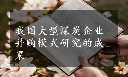 我国大型煤炭企业并购模式研究的成果