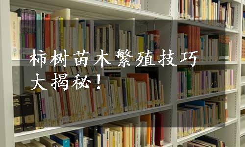 柿树苗木繁殖技巧大揭秘！