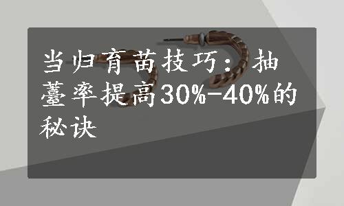 当归育苗技巧：抽薹率提高30%-40%的秘诀