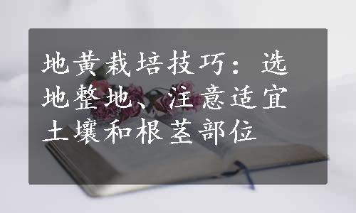 地黄栽培技巧：选地整地、注意适宜土壤和根茎部位