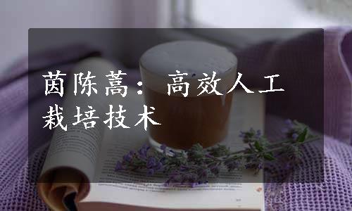 茵陈蒿：高效人工栽培技术