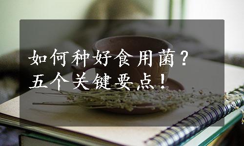 如何种好食用菌？五个关键要点！