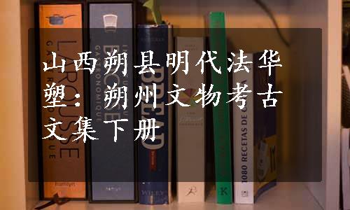 山西朔县明代法华塑：朔州文物考古文集下册